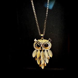 Silver and dark owl necklace
